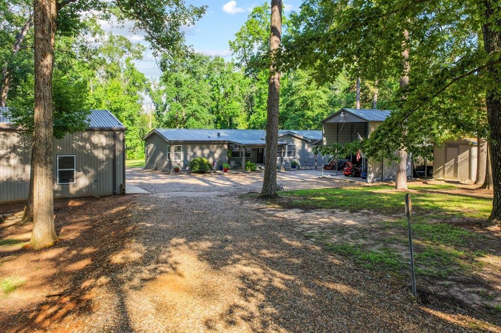 Avinger, Texas, United States 3 - 18265209