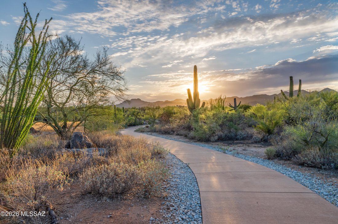 House in Oro Valley, Arizona, United States 5 - 18076053