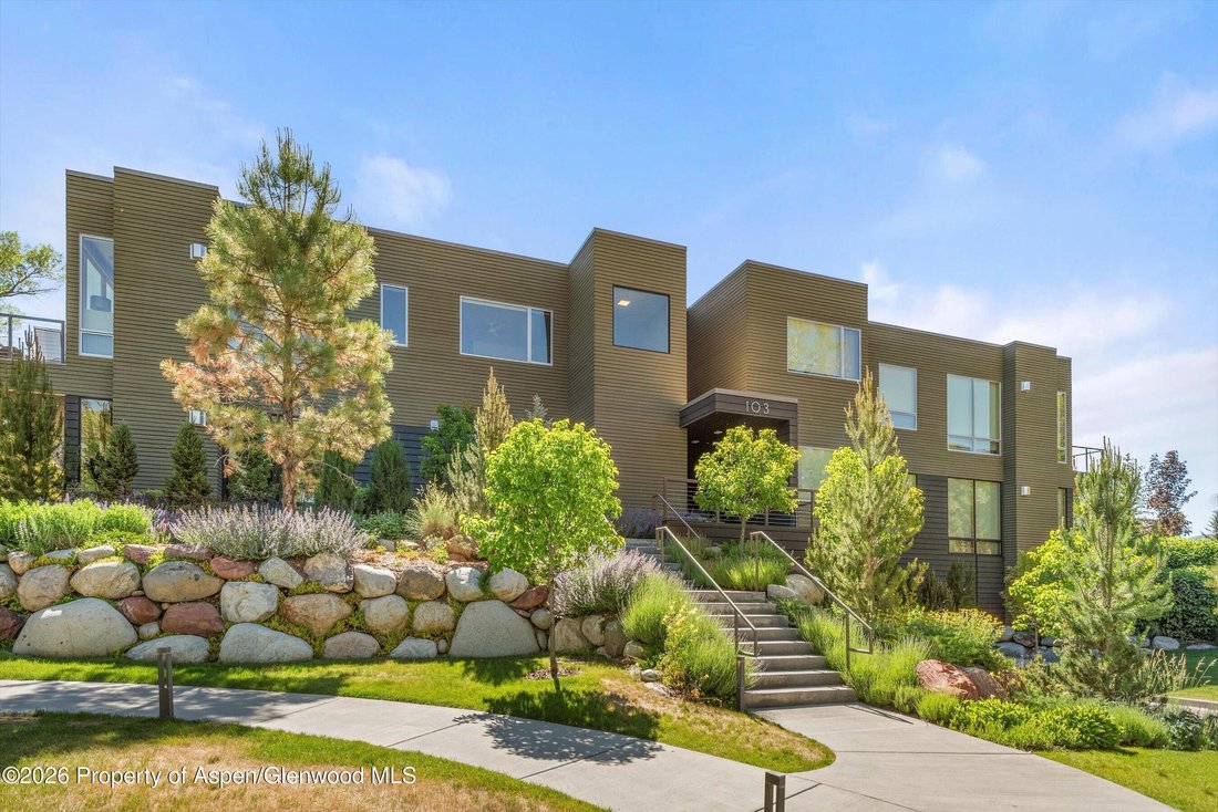 Condo in El Jebel, Colorado, United States 2 - 18263009