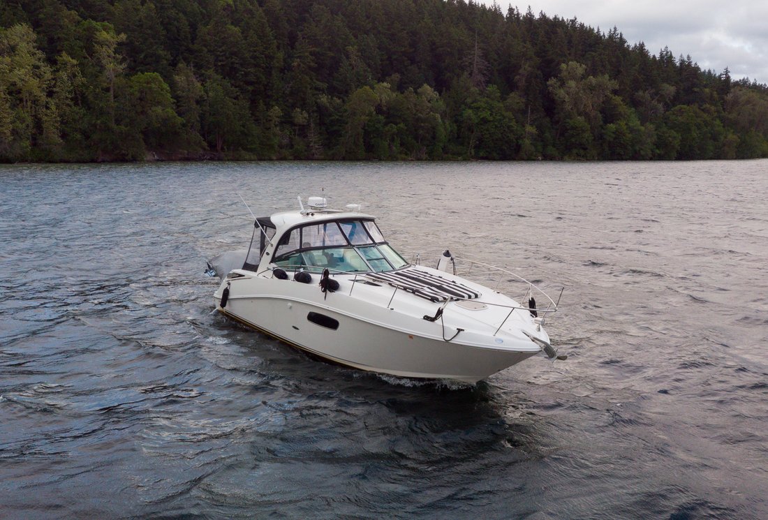 Cruiser in United States 2 - 18262078
