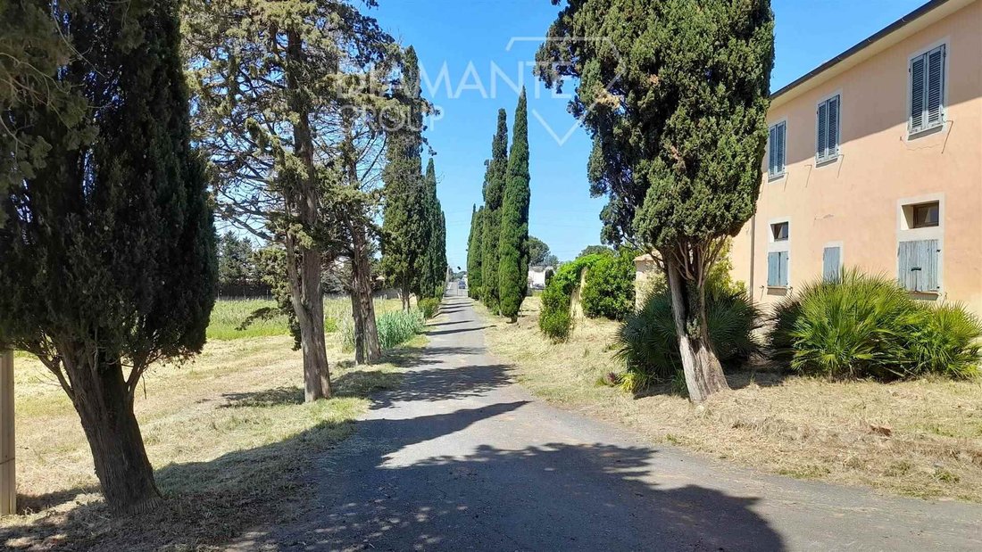 Farm Ranch in Montescudaio, Tuscany, Italy 5 - 18266244
