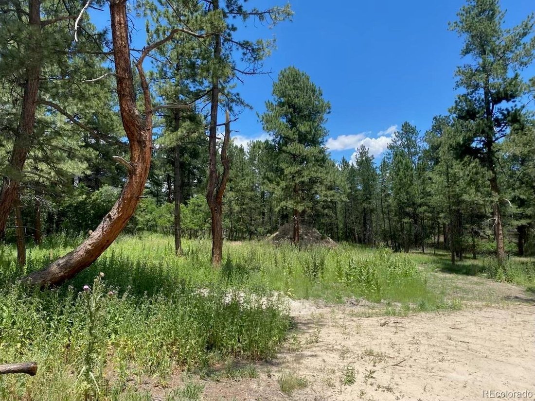 House in Larkspur, Colorado, United States 2 - 18264099