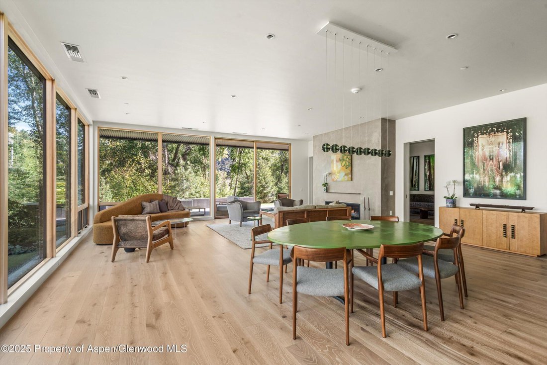 Condo in El Jebel, Colorado, United States 5 - 18263003