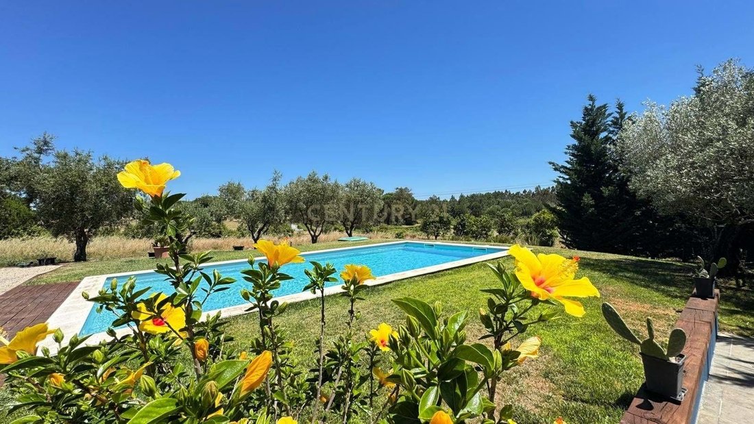 Farm Ranch in Branca, Santarem District, Portugal 1 - 18041238