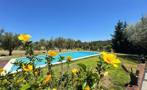 Corps de ferme à Branca, District de Santarém, Portugal 1
