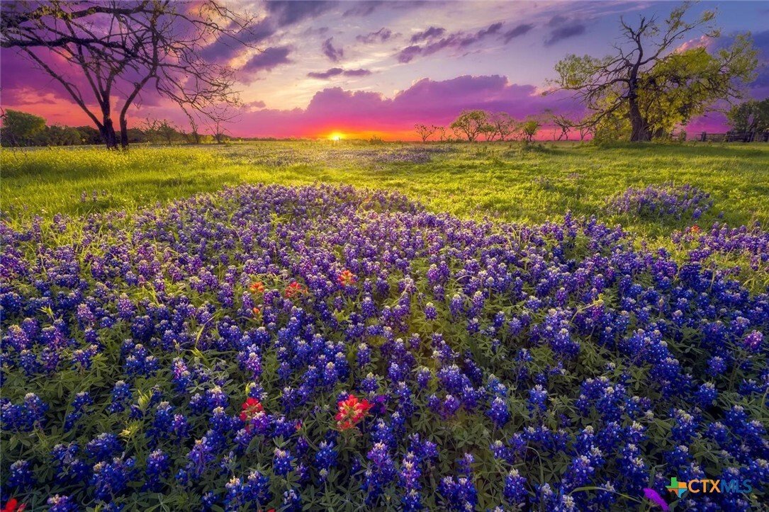 House in New Braunfels, Texas, United States 2 - 18263645