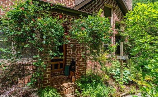 Casa a Roan Mountain, Tennessee, Stati Uniti 1