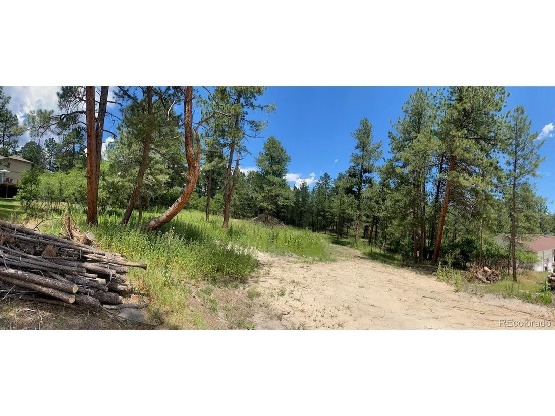House in Larkspur, Colorado, United States 4 - 18264099