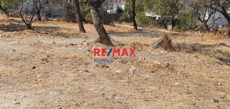 Land in Melissia, Attica, Greece 5 - 13613784