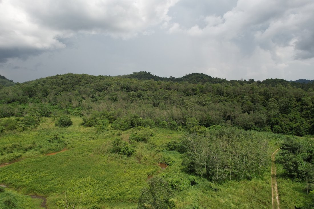 Titi, Negeri Sembilan, Malaysia 4 - 18260761