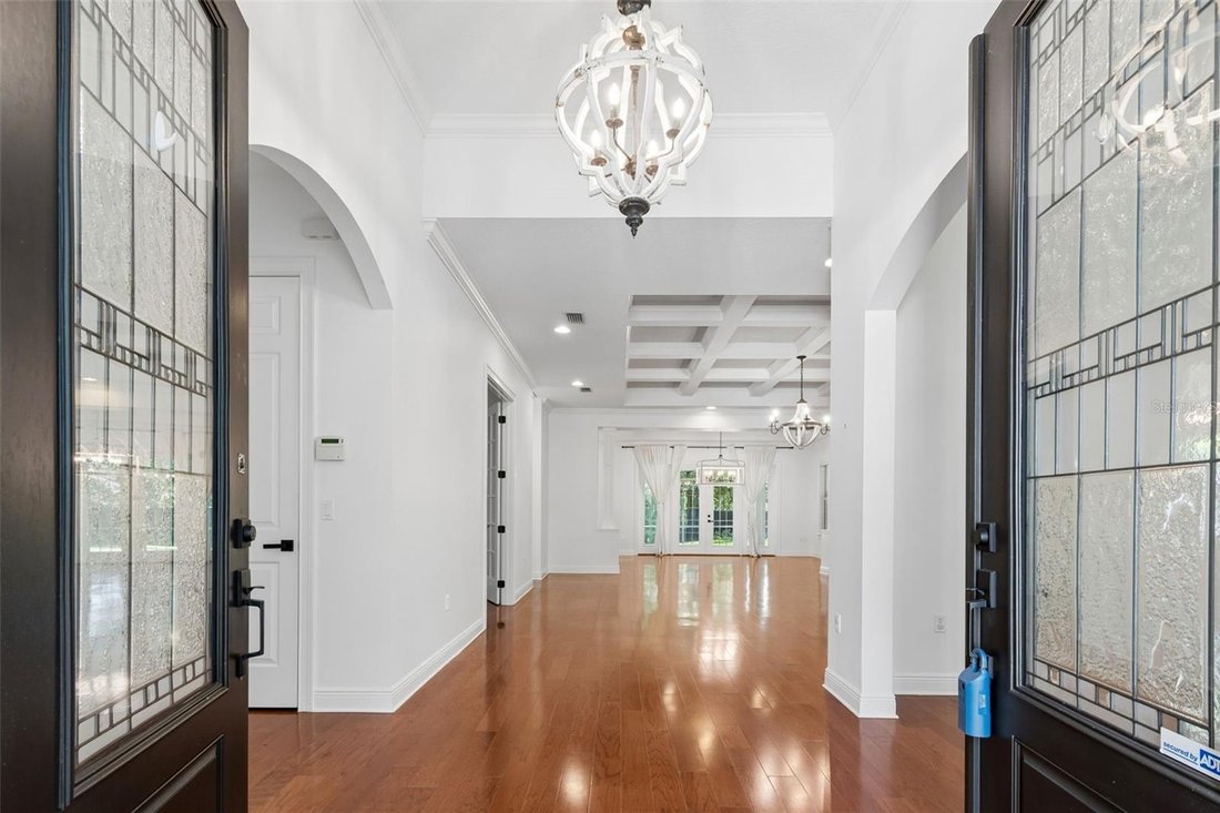 House in Tampa, Florida, United States 5 - 18260894
