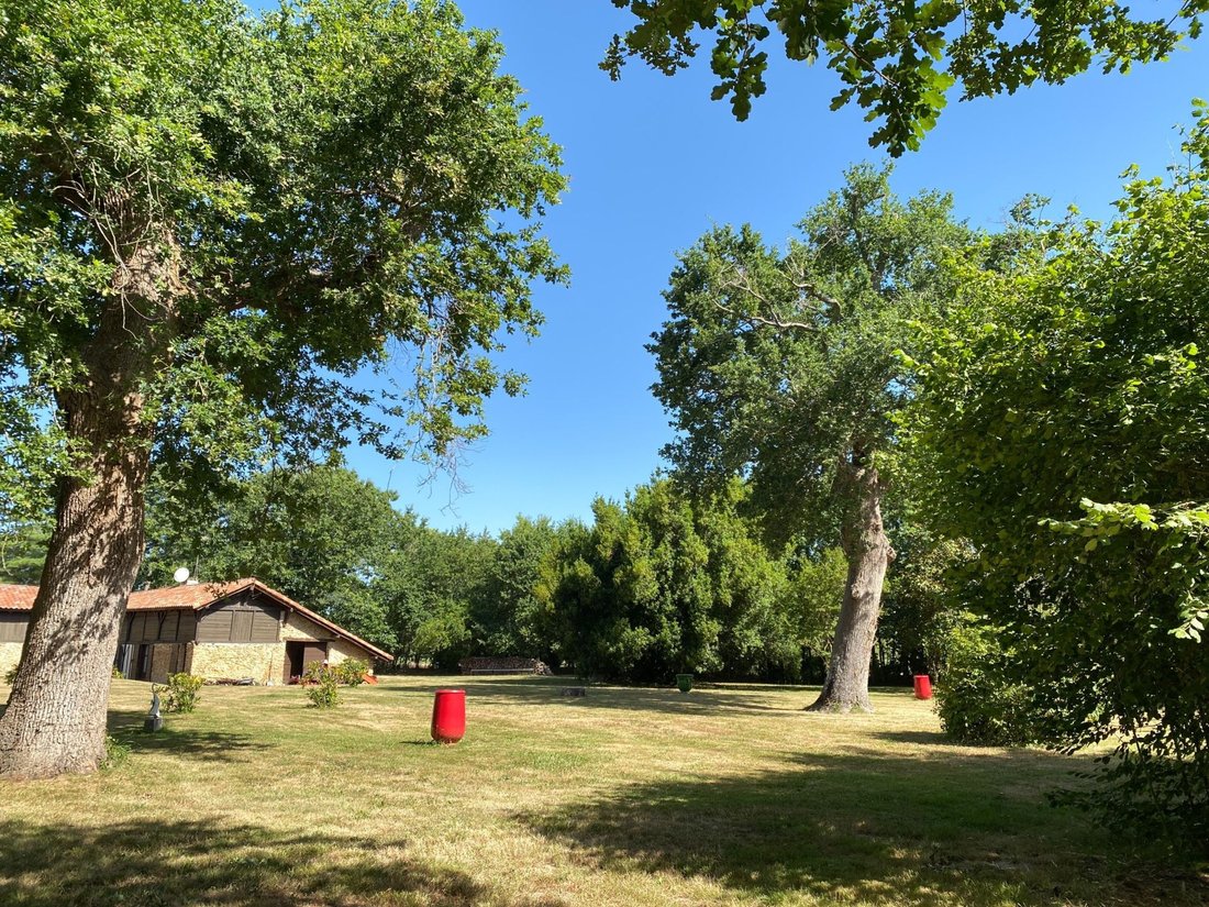 House in Bougue, Nouvelle-Aquitaine, France 4 - 17386114