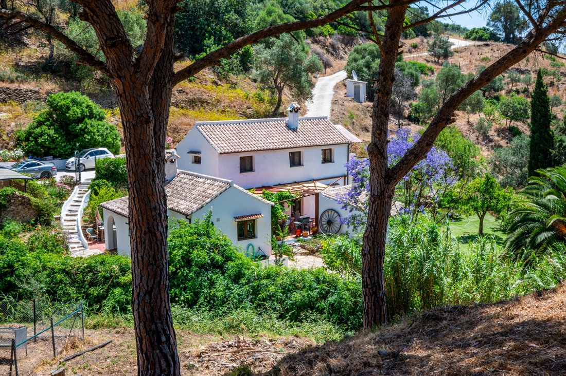 Finca in Casares, Andalusia, Spain 1 - 18266279