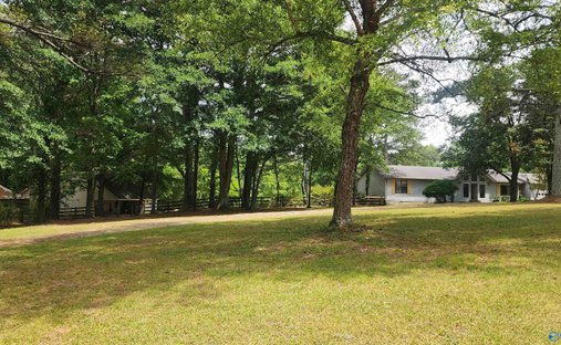 House in Hazel Green, Alabama, United States 1