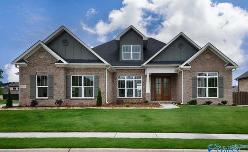 House in Madison, Alabama, United States 1