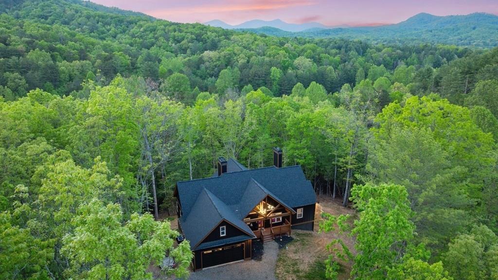 House in Mineral Bluff, Georgia, United States 2 - 15598618