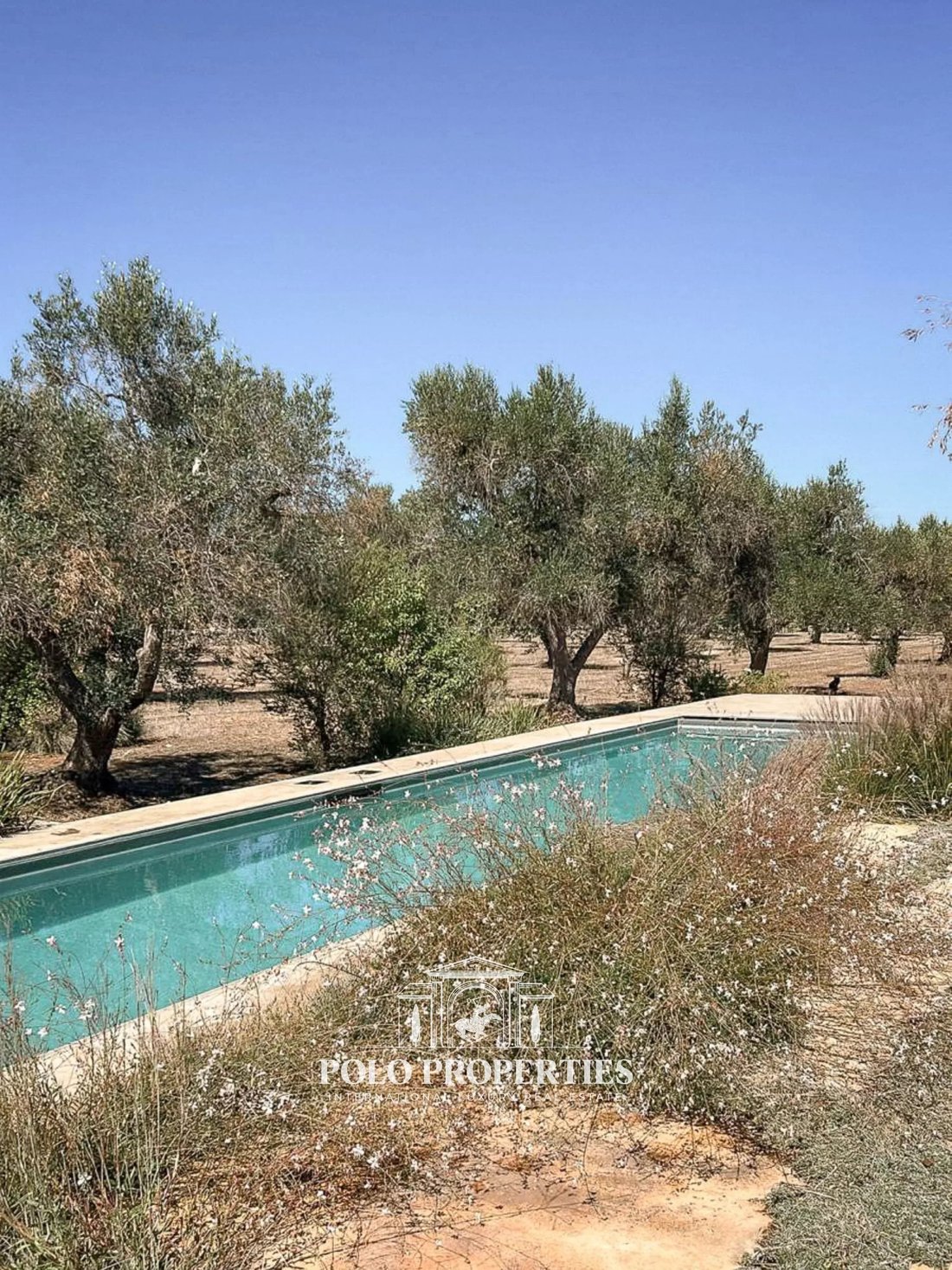 Villa in San Vito dei Normanni, Apulia, Italy 4 - 18261775