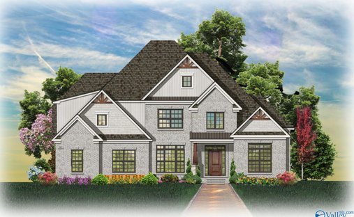 House in Owens Cross Roads, Alabama, United States 1