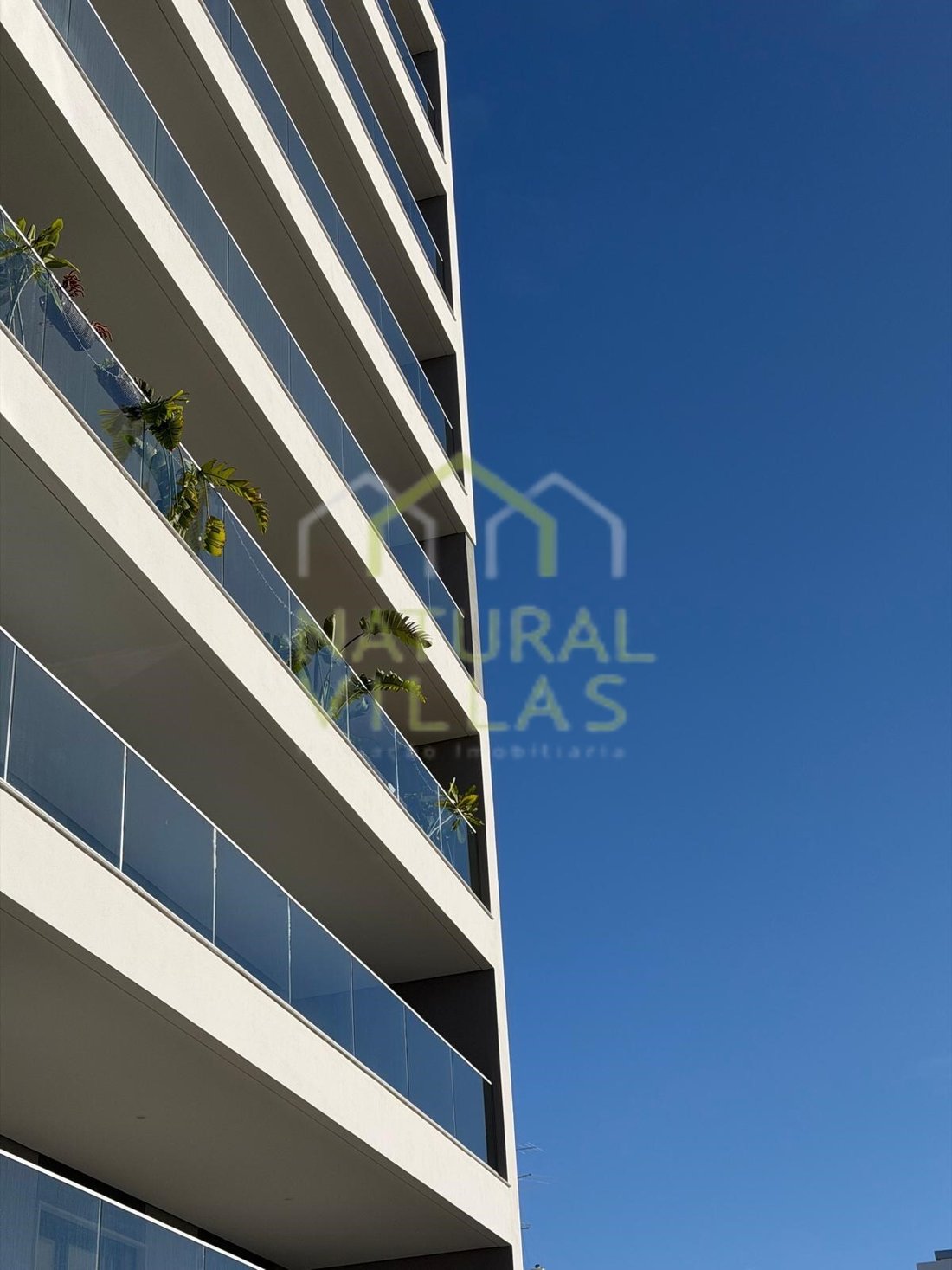 Apartment in Faro (Se e Sao Pedro), Algarve, Portugal 4 - 18266456