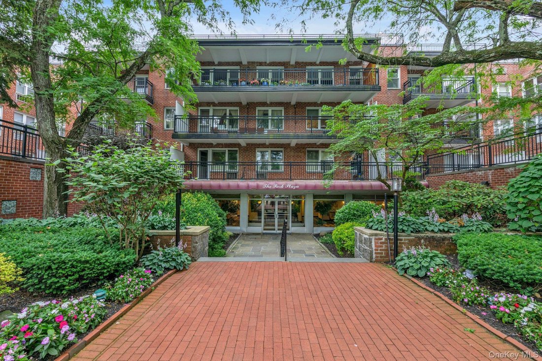 Co Op in Great Neck, New York, United States 5 - 17670979