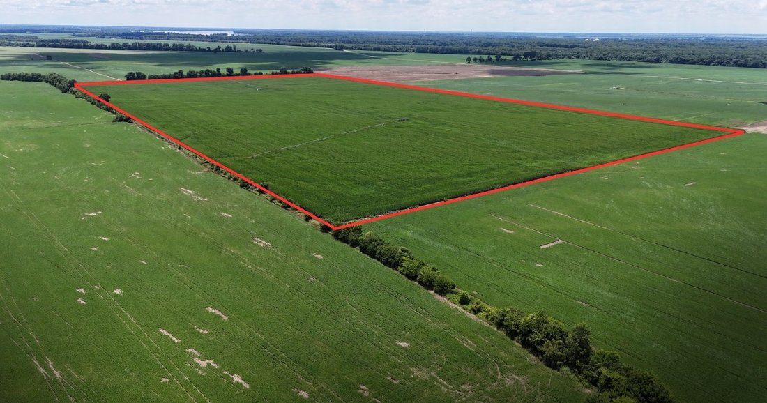 Land in Tiptonville, Tennessee, United States 1 - 17062643
