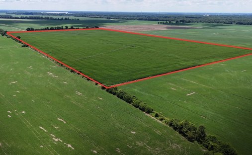 Land in Tiptonville, Tennessee, United States 1