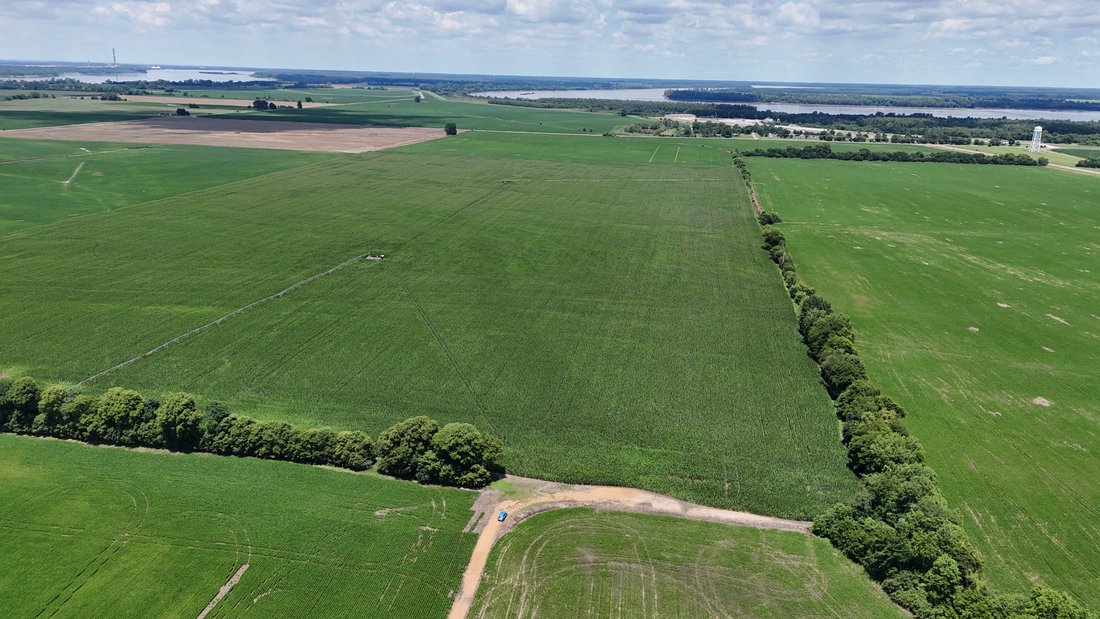 Land in Tiptonville, Tennessee, United States 2 - 17062643