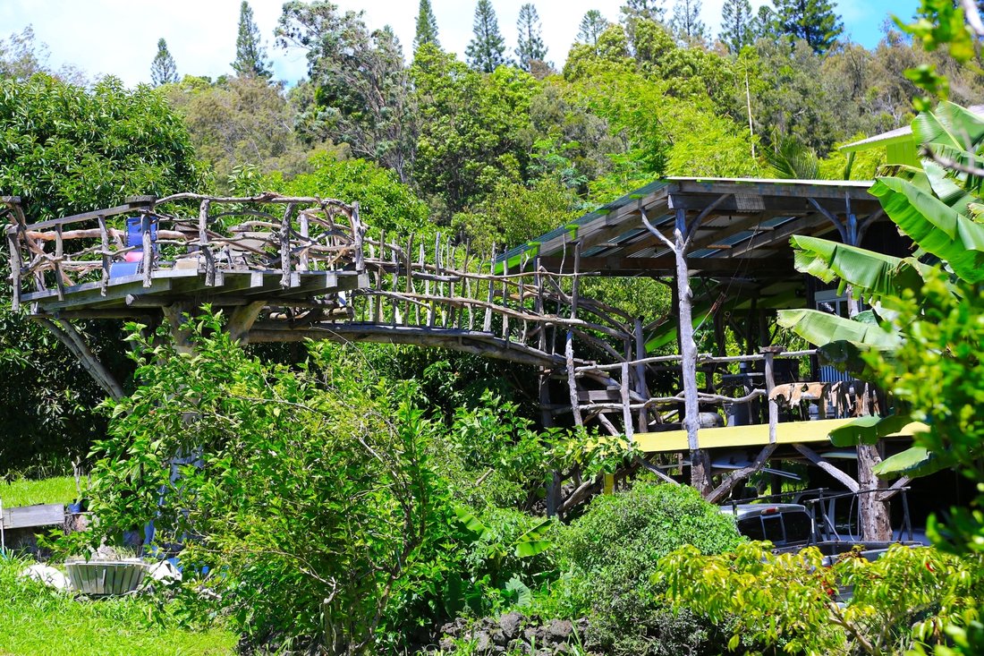 Farm Ranch in Naalehu, Hawaii, United States 5 - 18263204