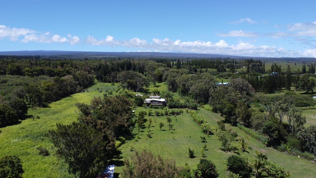 Farm Ranch in Naalehu, Hawaii, United States 1 - 18263204