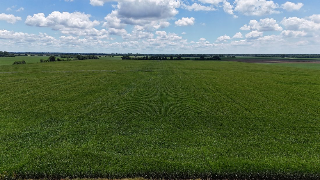 Land in Tiptonville, Tennessee, United States 5 - 17062643
