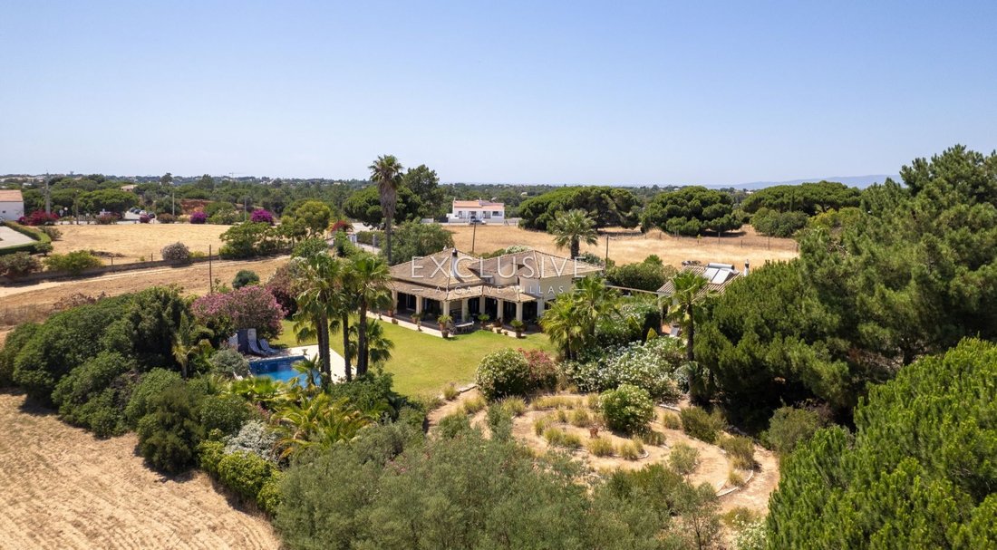 Villa in Lagoa und Carvoeiro, Algarve, Portugal 5 - 18261885