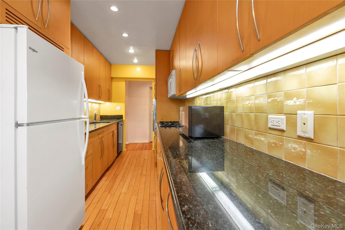 Co Op in Great Neck, New York, United States 3 - 17670979