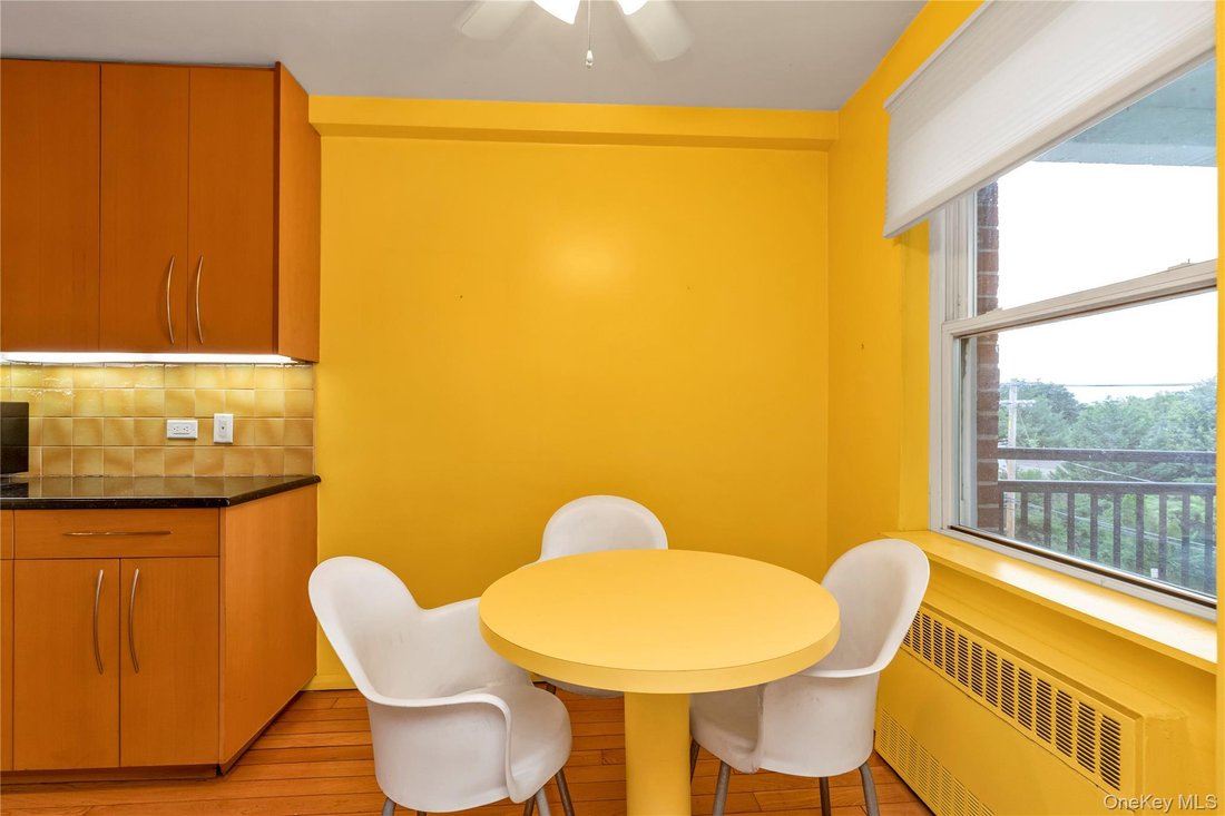 Co Op in Great Neck, New York, United States 4 - 17670979