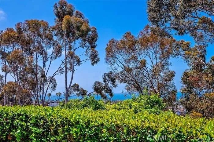 Townhouse in San Clemente, California, United States 4 - 18091733