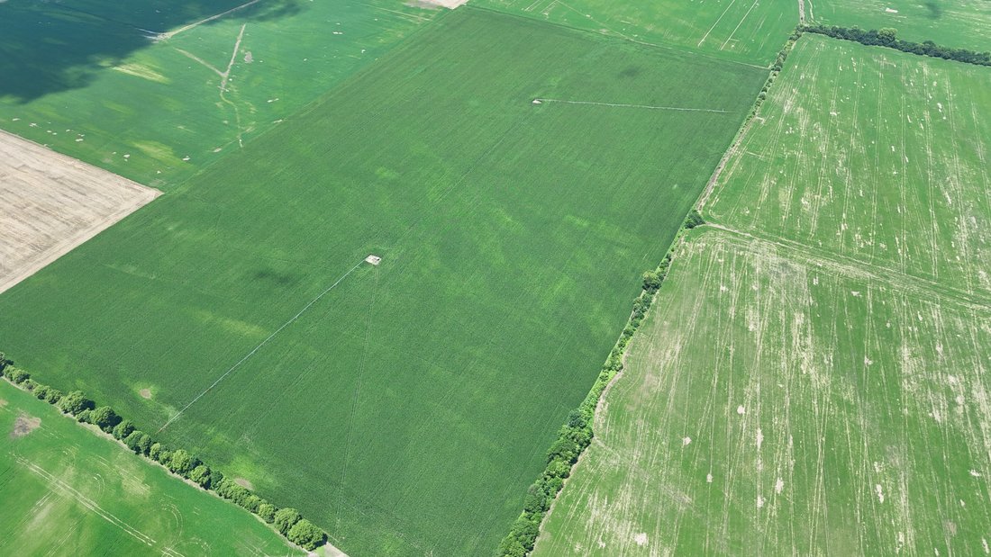 Land in Tiptonville, Tennessee, United States 4 - 17062643