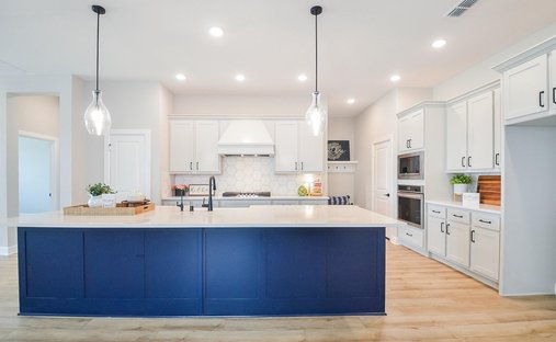 House in Rosenberg, Texas, United States 1