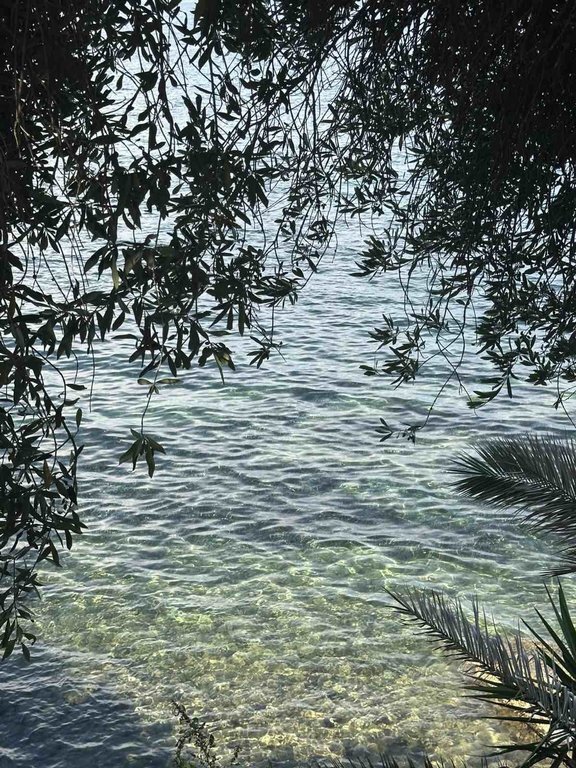 Land in Corfu, Peloponnese, Western Greece and the Ionian, Greece 4 - 18260669
