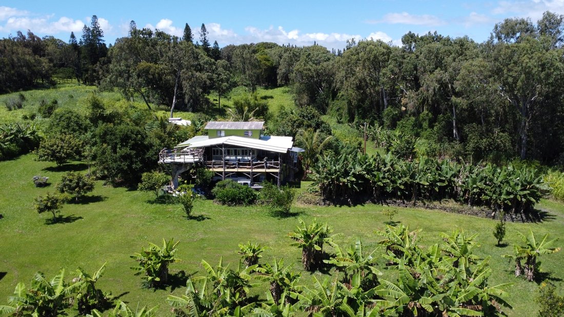 Farm Ranch in Naalehu, Hawaii, United States 2 - 18263204