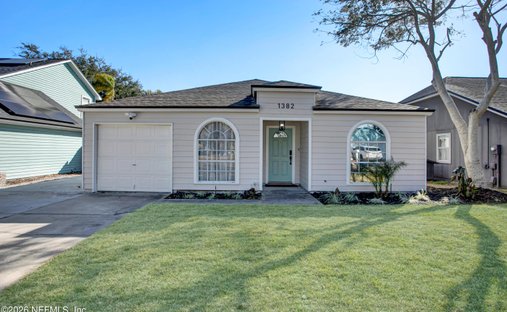 House in Jacksonville Beach, Florida, United States 1