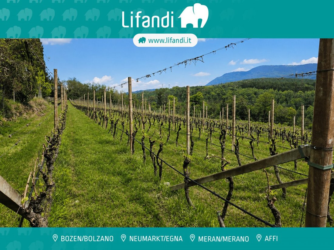 Land in Kaltern / Kaltern an der Weinstraße, Trentino – Alto Adige/Südtirol, Italy 1 - 17980511