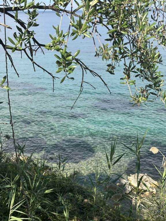 Land in Corfu, Peloponnese, Western Greece and the Ionian, Greece 3 - 18260669