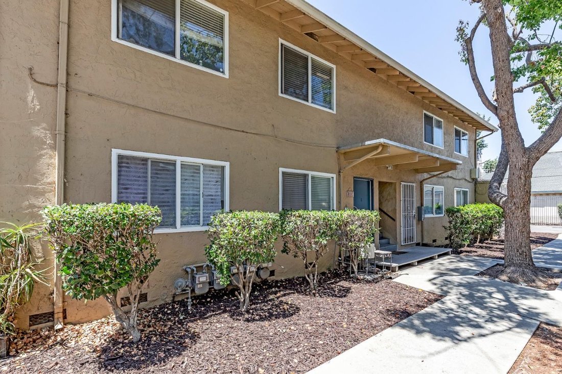 San Jose, California, United States 1 - 18265898