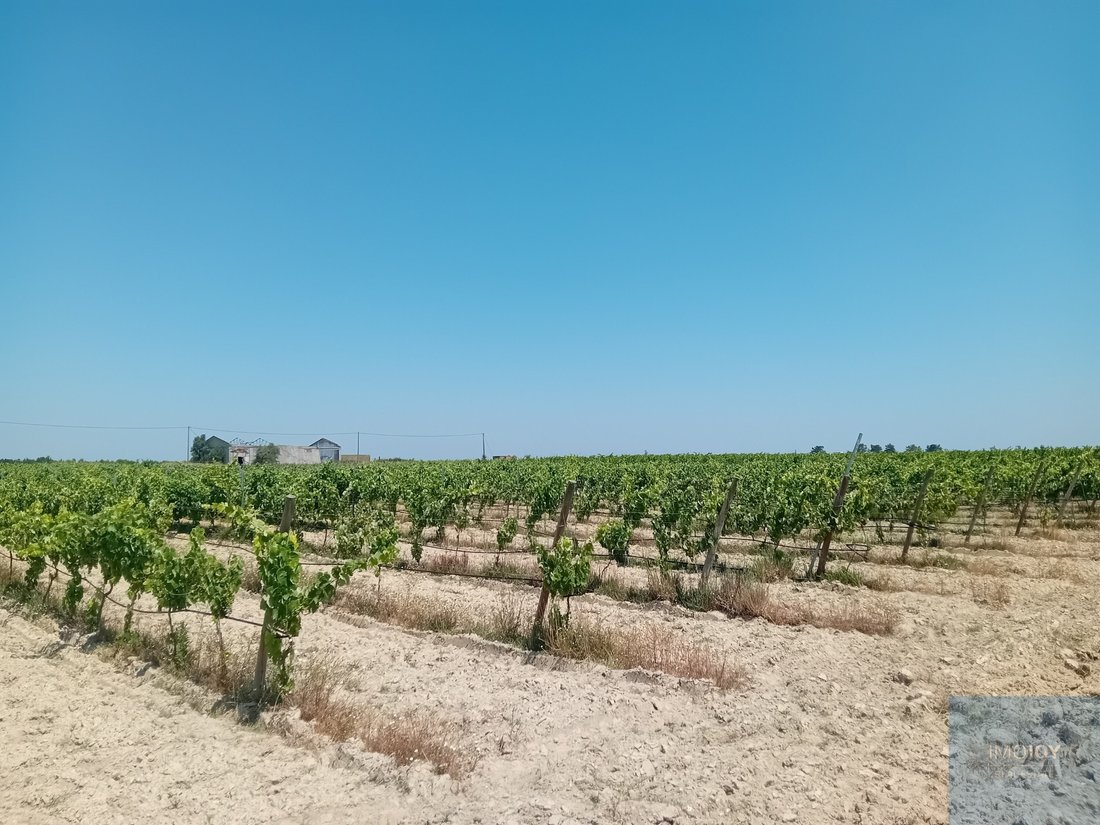 Land in Pegoes, Setubal, Portugal 1 - 18266394