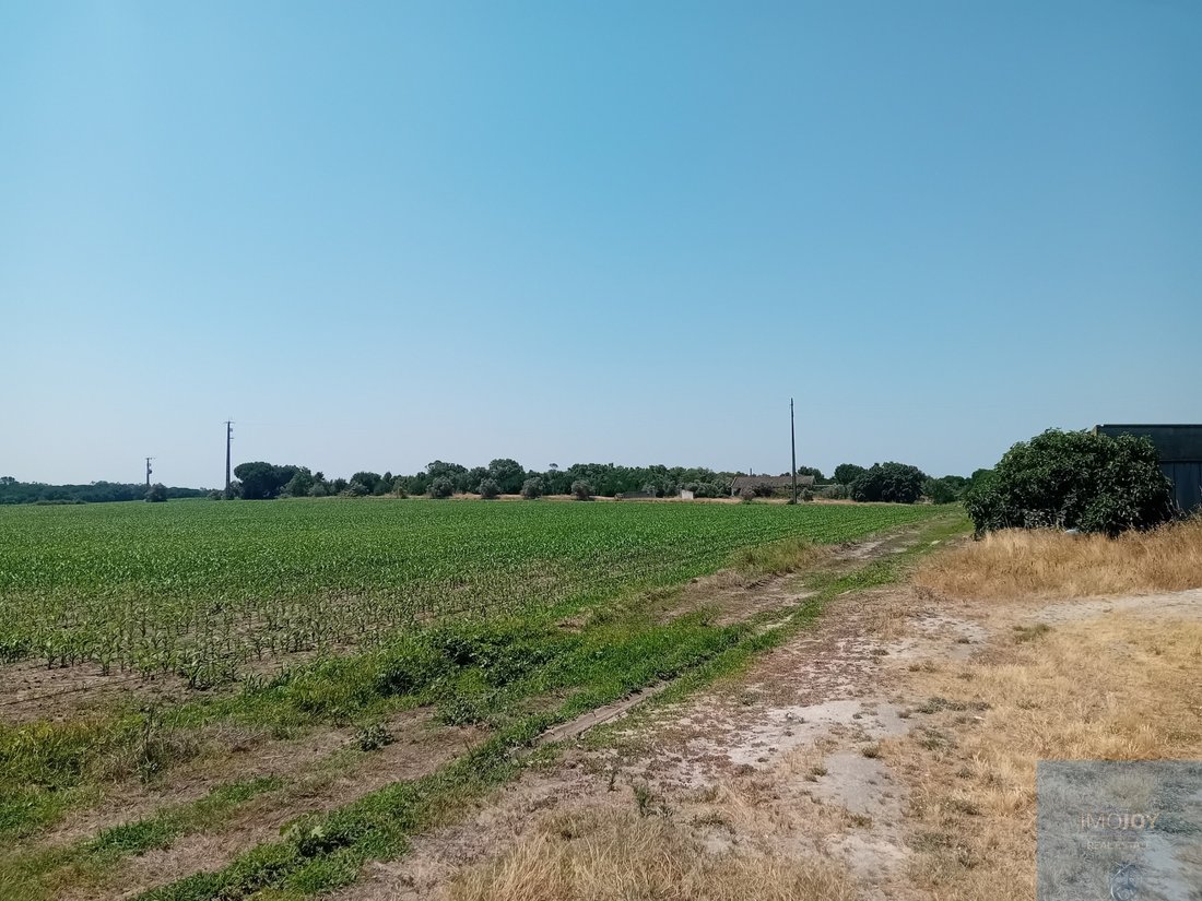 Land in Pegoes, Setubal, Portugal 4 - 18266394