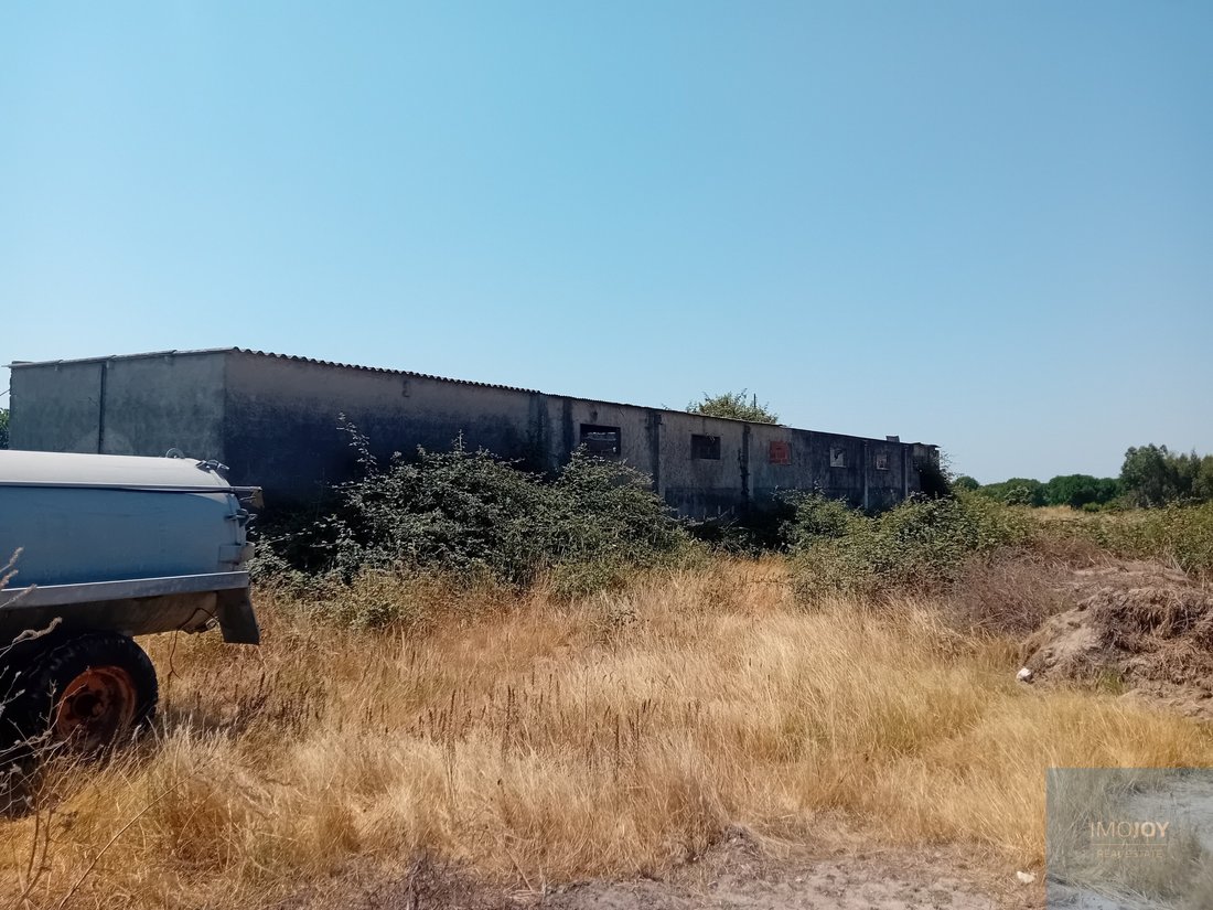 Land in Pegoes, Setubal, Portugal 5 - 18266394
