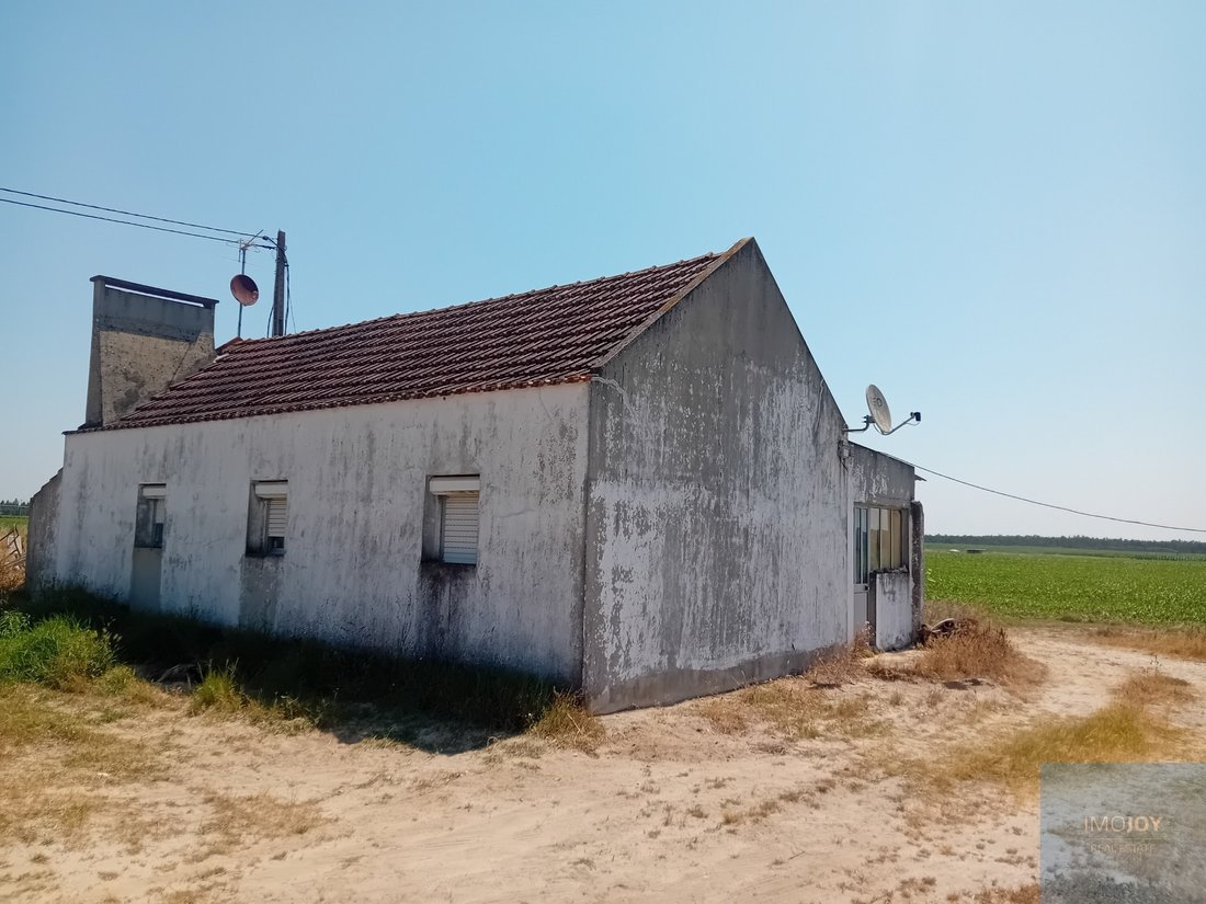 Land in Pegoes, Setubal, Portugal 3 - 18266394