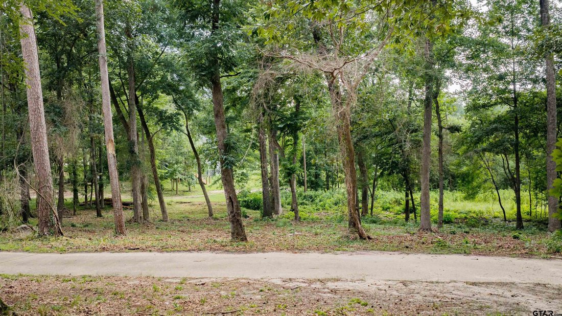 Land in Winnsboro, Texas, United States 3 - 18265961