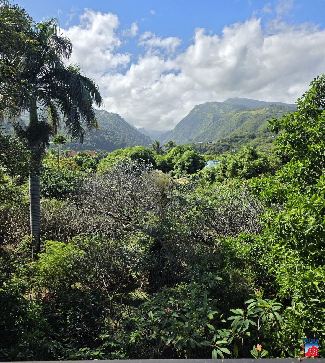 Land in Puna'auia, Windward Islands, French Polynesia 4 - 18267194