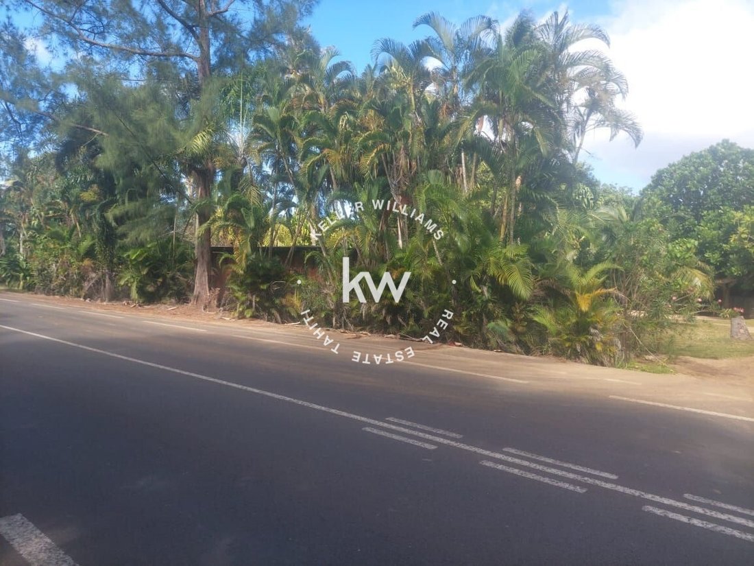 Land in Moorea-Maiao, Windward Islands, French Polynesia 2 - 16769345