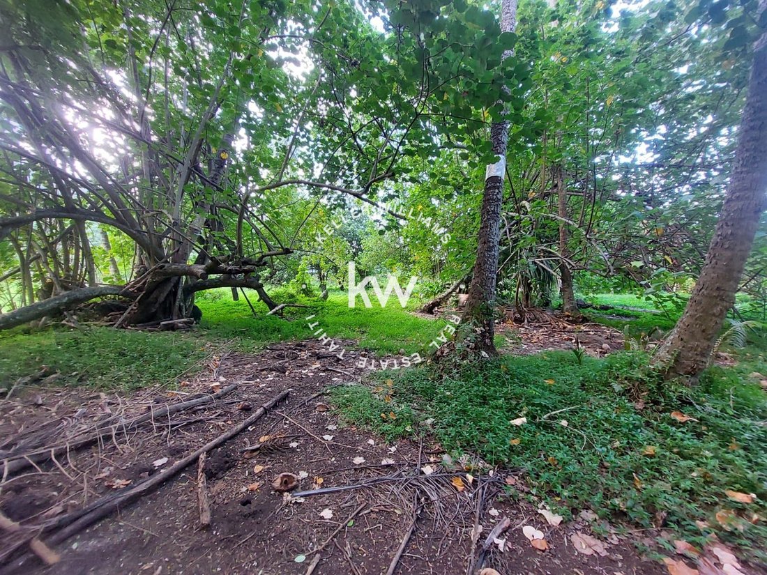 Land in Moorea-Maiao, Windward Islands, French Polynesia 5 - 17328636